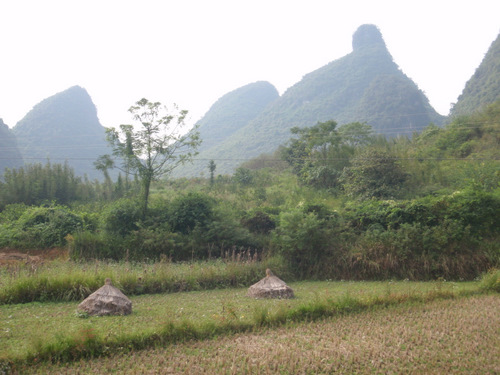 One of the mountain tops looks like a rice stalk stack.